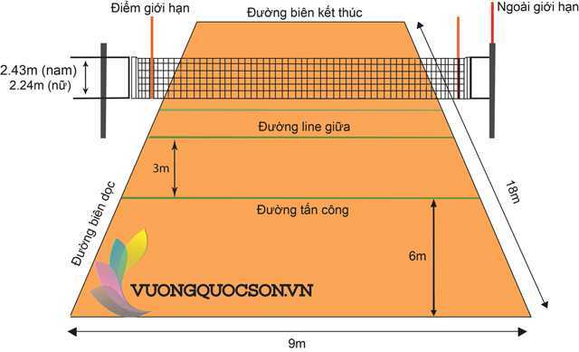 Báo giá xây dựng sân bóng chuyền mới nhất