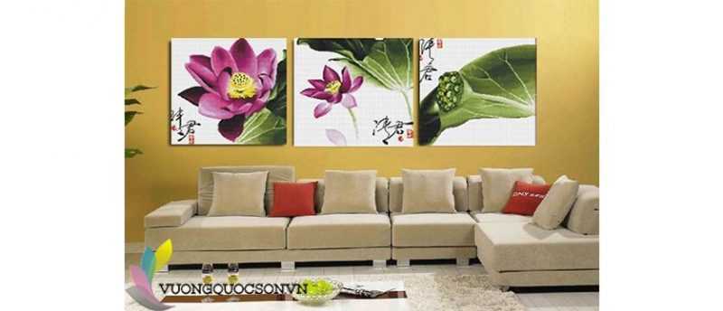 đại lý sơn toa
