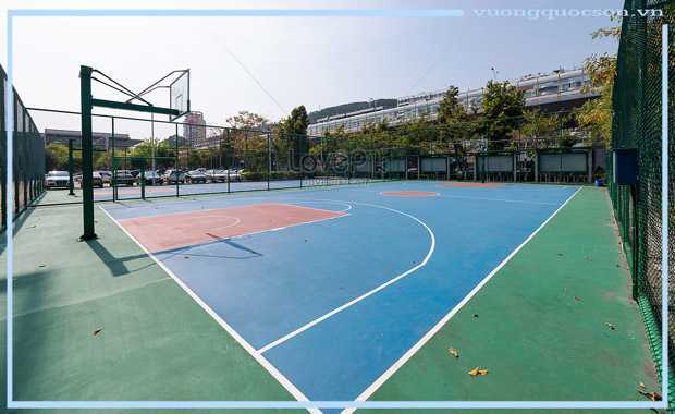 Công Ty Thi Công Sân Bóng Rổ Tiêu Chuẩn