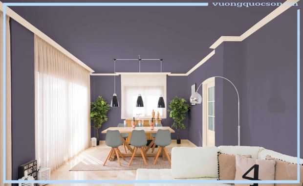 đại lý sơn toa tại đồng nai