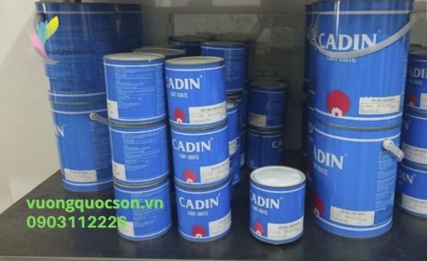 Thi Công Sơn Chống Rỉ Cadin giá rẻ