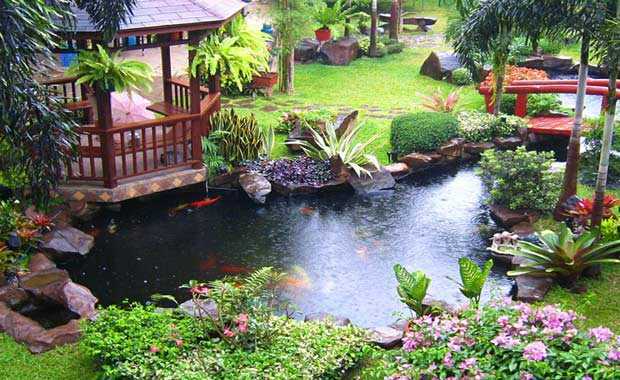 Thi Công Chống Thấm Cho Hồ Cá Koi
