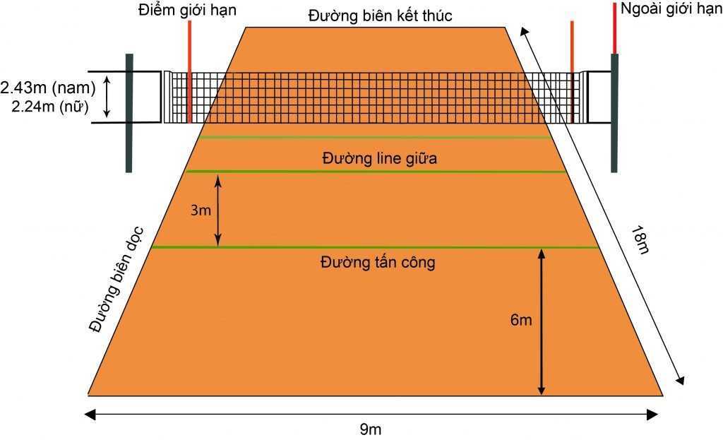 thi công sân bóng chuyền