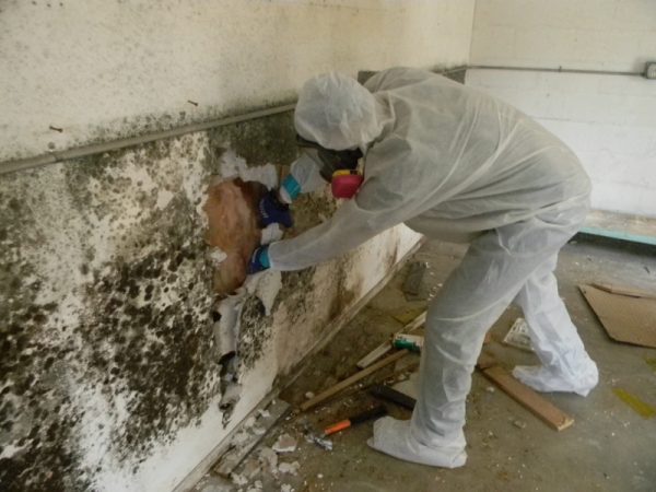 chống thấm ngược tường nhà