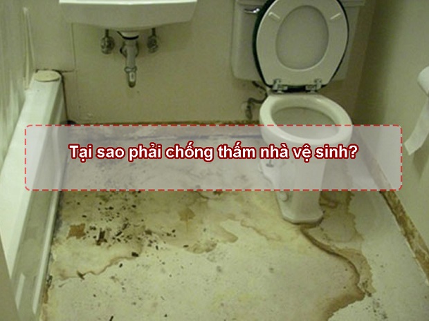 Tại Sao Cần Thi Công Chống Thấm Cho Nhà Vệ Sinh